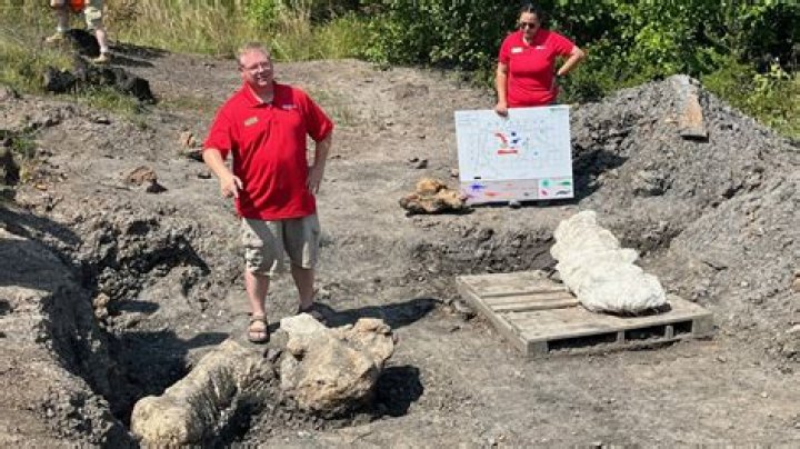 First-of-its-kind dinosaur bones discovered at Laurel, Maryland park