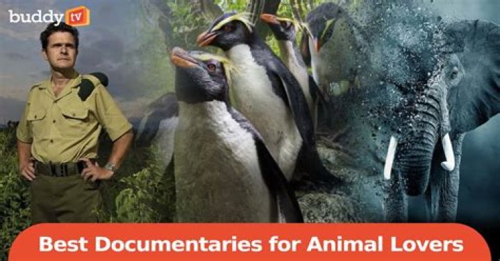 	FLAWED FILM NONETHELESS A MUST FOR ANIMAL LOVERS	