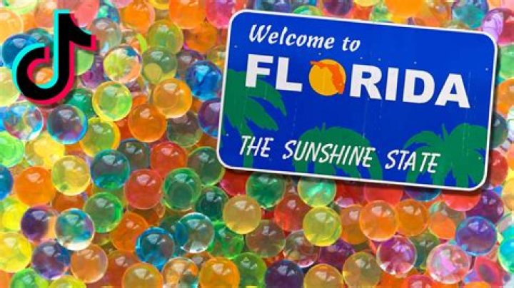 Florida teens arrested after dangerous TikTok Orbeez Challenge goes wrong