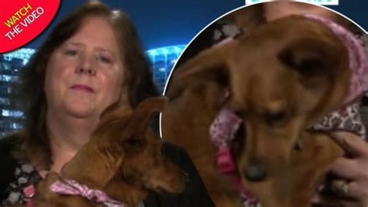 	Florida woman wants to be cryogenically frozen with her dog: report	