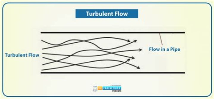 	FloriDUH: Slow and unsteady wins a trip to the slammer	
