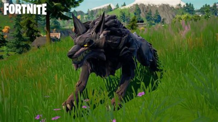 Fortnite wolf locations: Where do wolves spawn in Season 8?