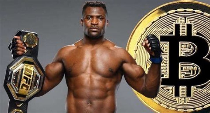 Francis Ngannou Fortune