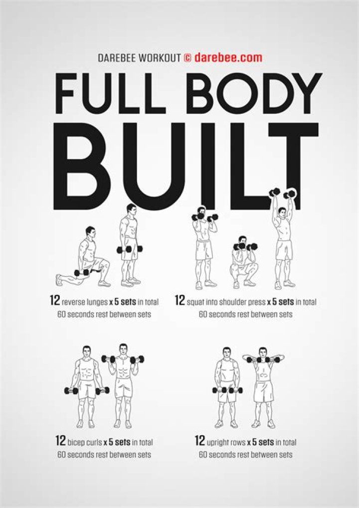 Full Body Workouts | A Guide to Building Muscle