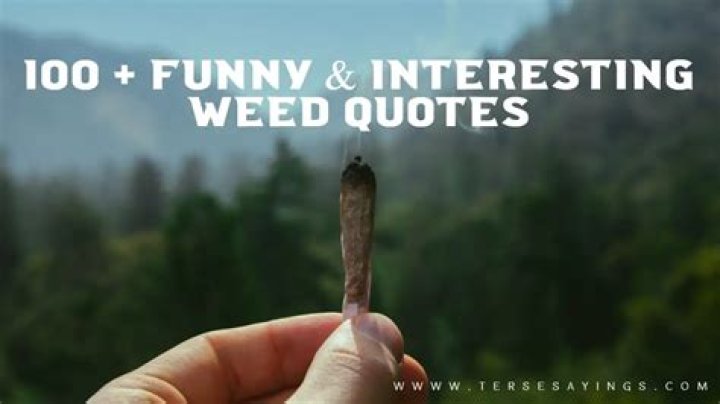 Funny Sayings About Weed: A Humorous Take On Cannabis Culture