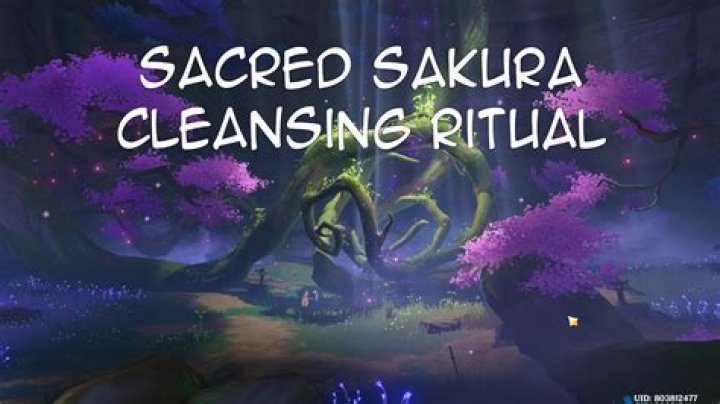 Genshin Impact Sacred Sakura Cleansing Ritual Quest Guide