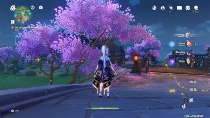 Genshin Impact: Where to Get Yumemiru Wood