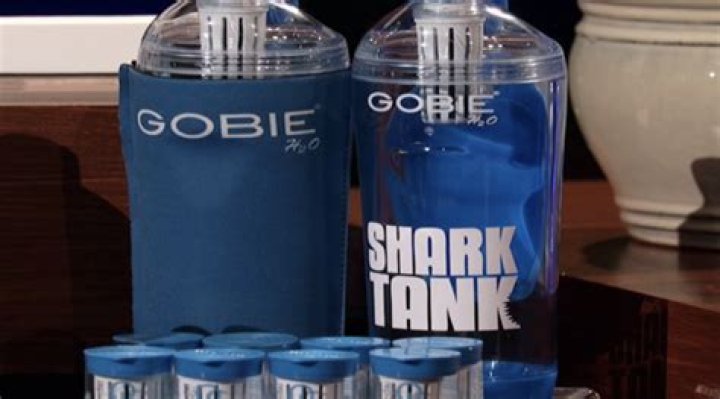 Gobie H2O Shark Tank Net Worth 2024