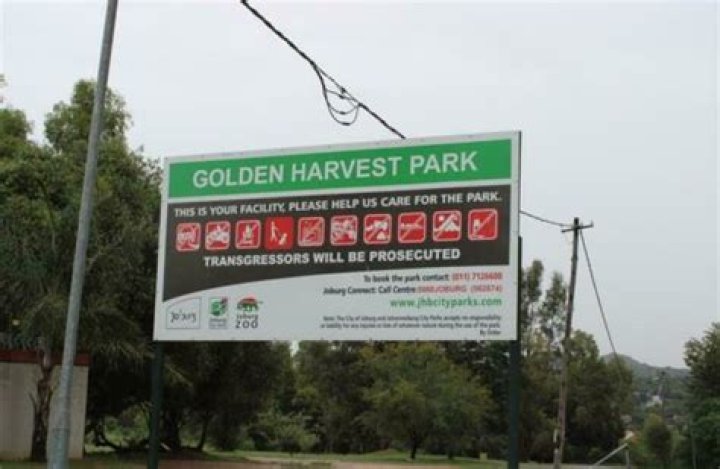 Golden Harvest awaits Village offer