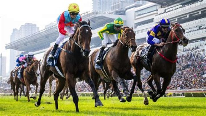 GOOD HEALTH (E159) 健康就好 (Retired) | Horses | HK Racing