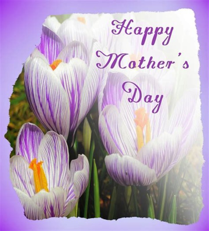 Greece celebrates Mother's Day with wishes for better future - Xinhua