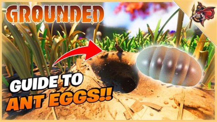 Grounded: How to Get Ant Eggs