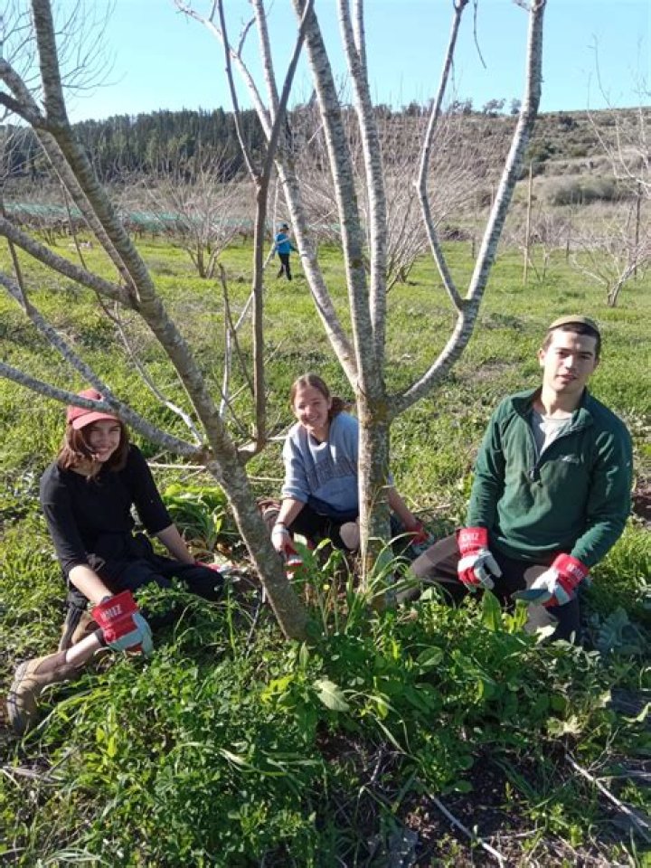 	HaShomer HaChadash mourns the loss of volunteer Rina Dee	
