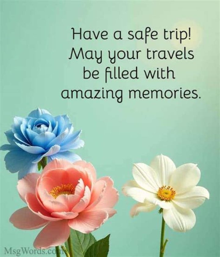 Have A Safe Journey Wishes: Meaningful Messages For Travelers