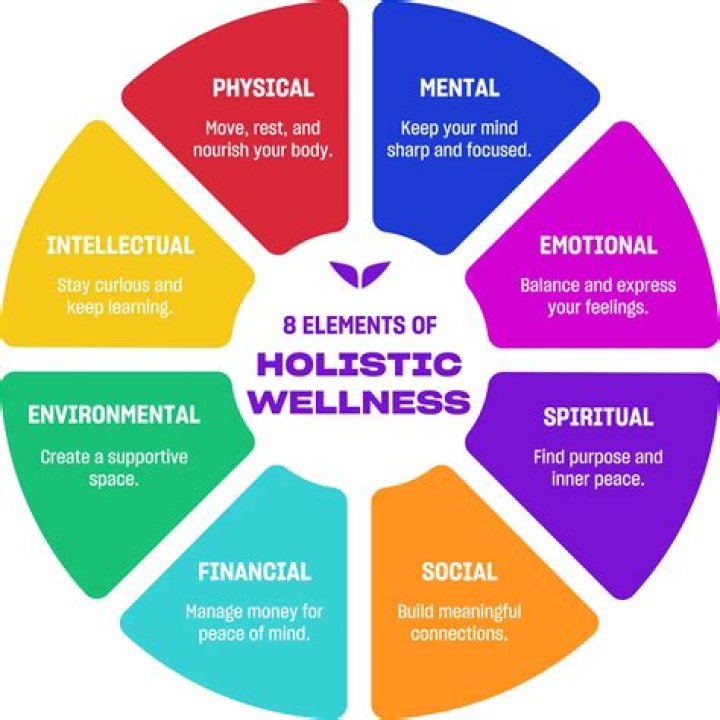 Healthy Life Wellhealthorganic: A Holistic Approach to Wellness