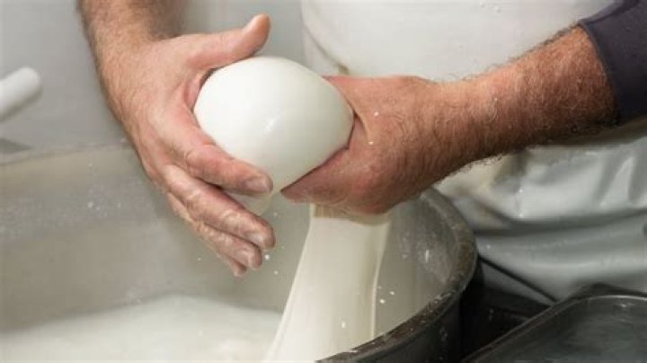 Heber Valley Artisan Cheese Offering Cheese, Gelato & Yogurt Classes