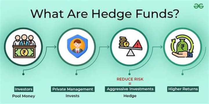 Hedge funds profit from betting against US-listed mainland firms