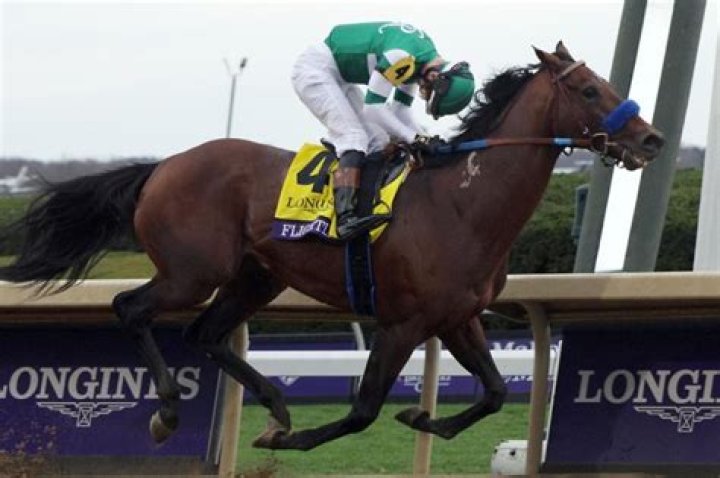 HK front-runner to host Breeders' Cup