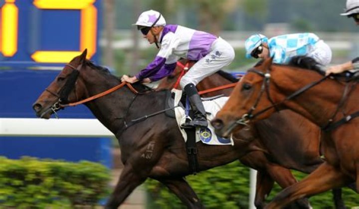 HKIR looks a stretch for Little Giant after ‘winning performance that didn’t get paid’ | HK Racing