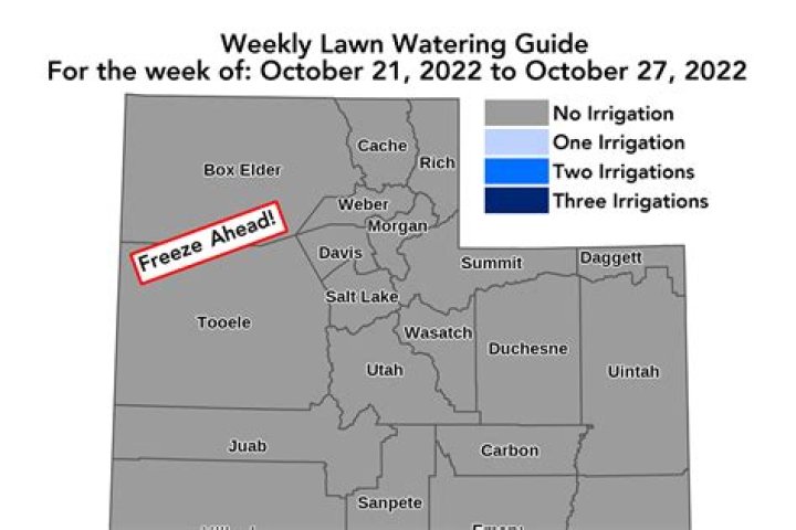Hold off on watering; consult the weekly lawn watering guide