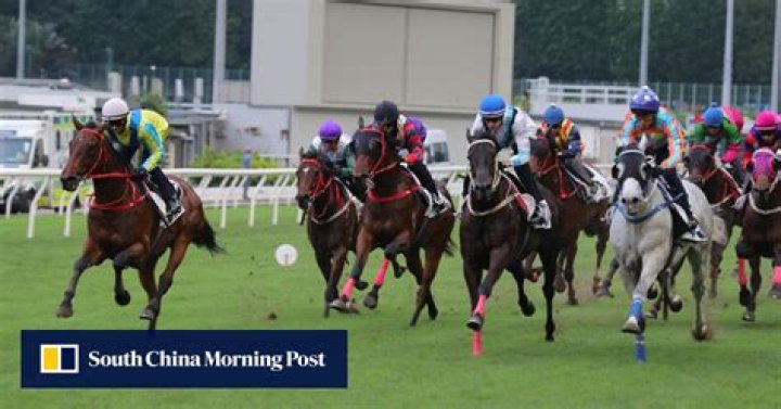 Hong Kong Derby winner Massive Sovereign on track for QE II Cup after impressive Happy Valley trial | HK Racing