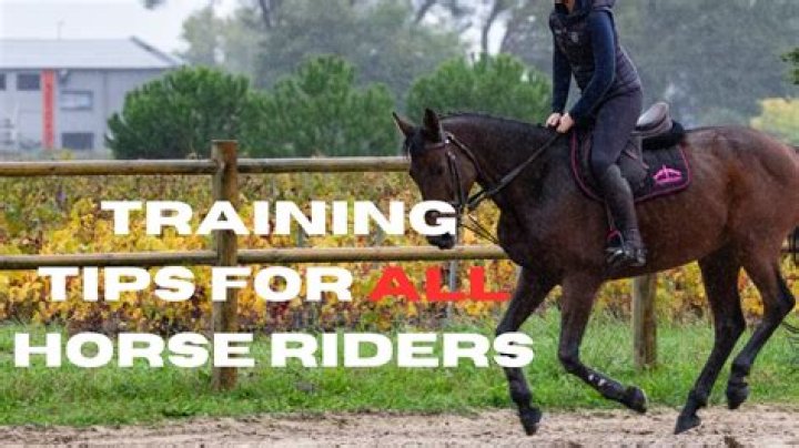 Horse & Riding Skills & More