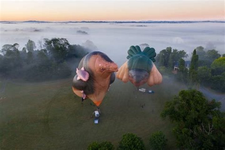 Hot air balloon 
