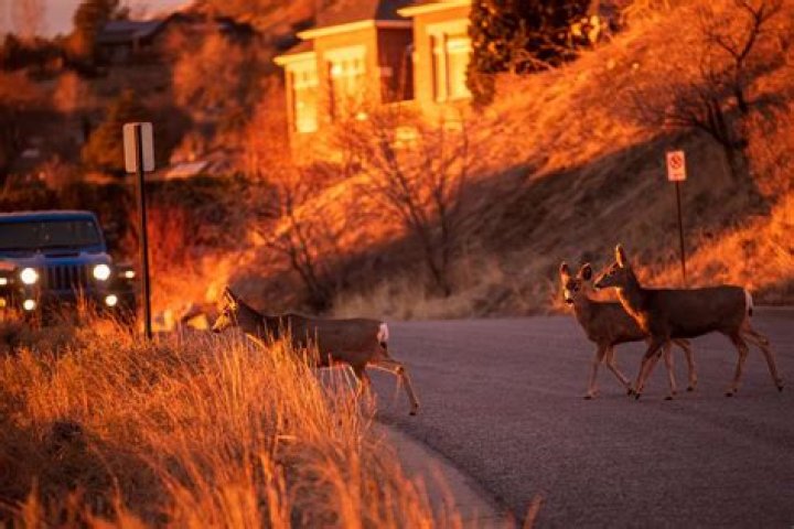 How close is Utah to permanent daylight saving time?