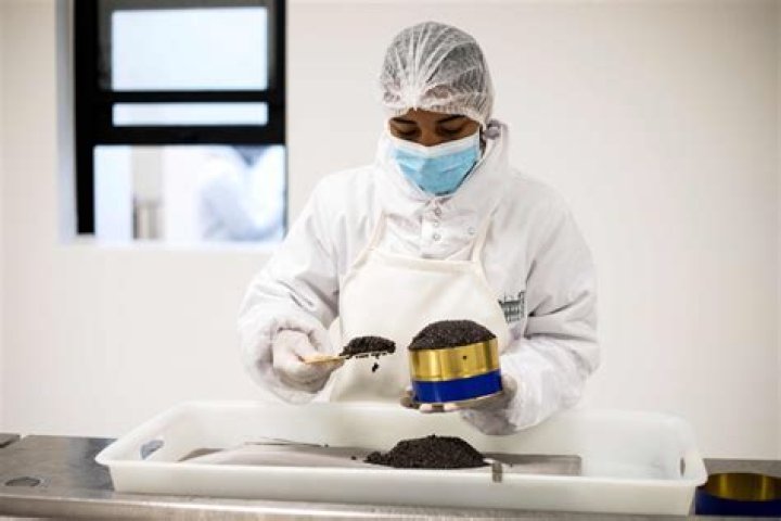 How Madagascar took a gamble on caviar – and it’s paying off
