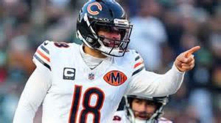 How much has Bears tight end earned in his NFL career so far?
