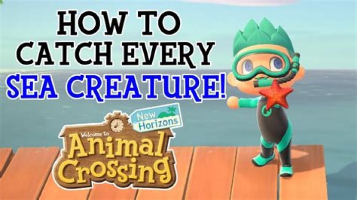How to Catch Sea Creatures in Animal Crossing