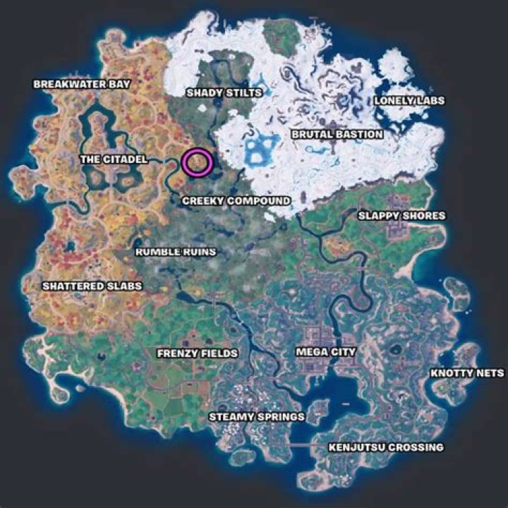 How to Collect the Skin