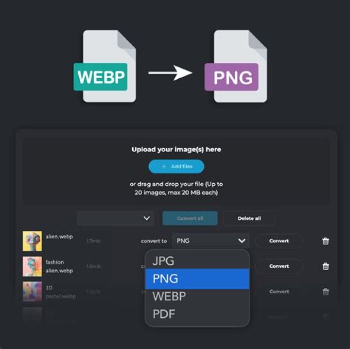 How to Convert WebP to JPEG, PNG, and Other Image Formats
