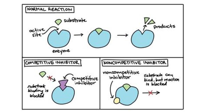 How to Find Inhibitor Containers