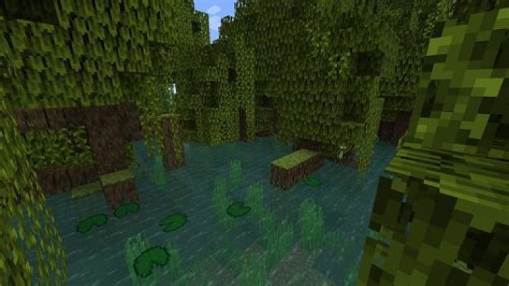 How to Find Mangrove Swamp Biome in Minecraft