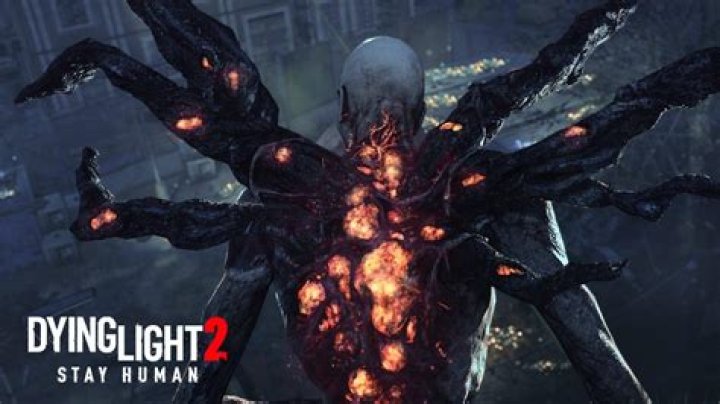 How to fix Dying Light 2 black screen ending bug