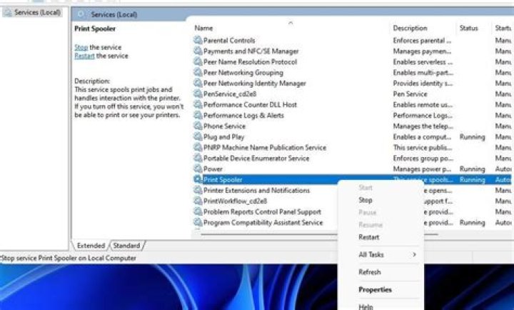 How to Fix the “Another Computer Is Using the Printer” Error on Windows 10 & 11