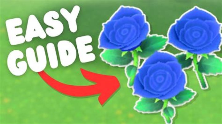 How to Get Blue Roses Guide
