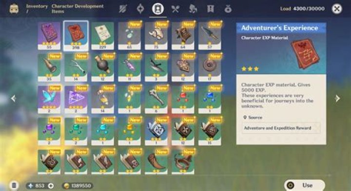 How to level up your Genshin Impact characters