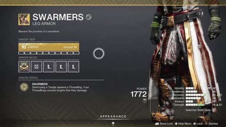 How to obtain and use the Swarmers in Destiny 2: Lightfall?