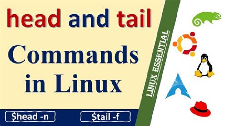 How to Use the head and tail Commands for Text Processing on Linux