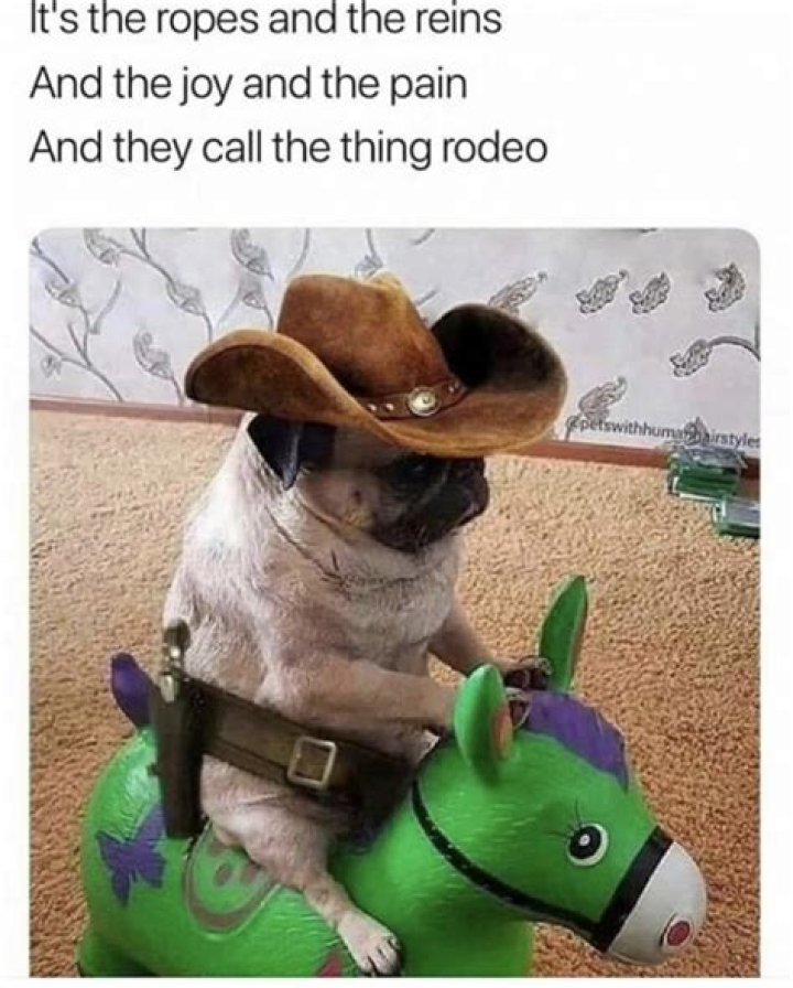	Humor with a twang	
