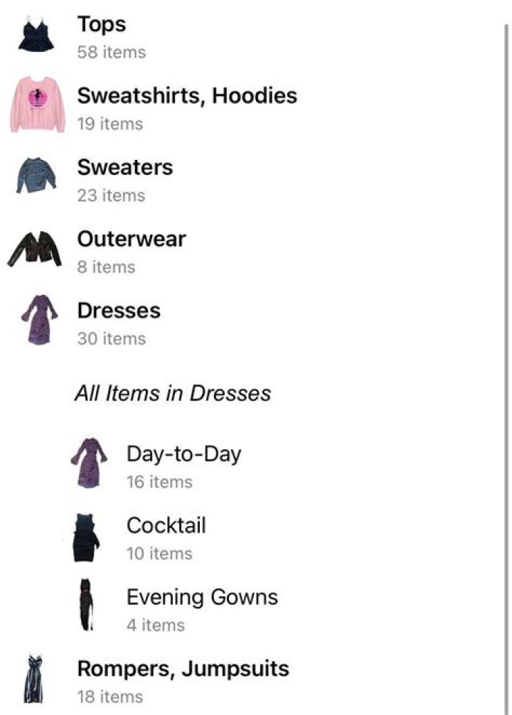 I logged my entire wardrobe into a Clueless-style closet app