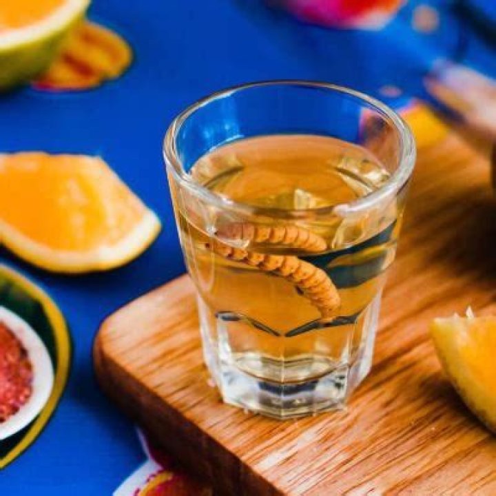 Iconic 'tequila worm' in mezcal bottle is not really a worm – here's what it is