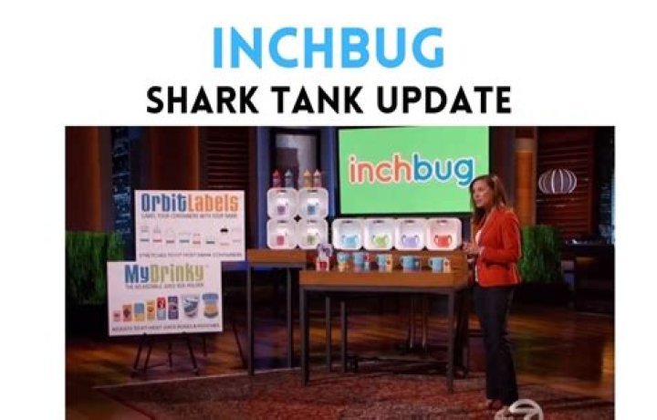 Inchbug Shark Tank Net Worth 2024