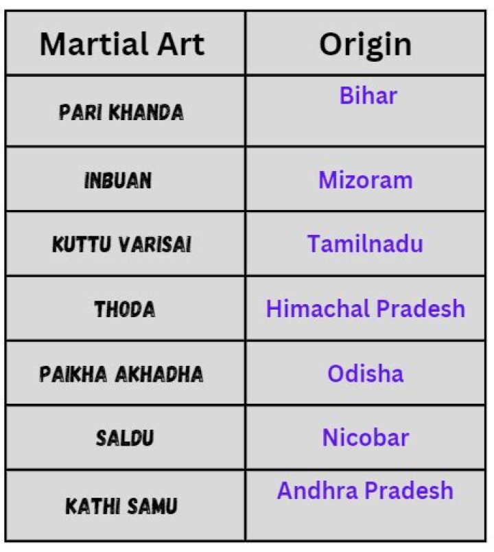 Indian Viral MMA: The Rise Of Mixed Martial Arts In India