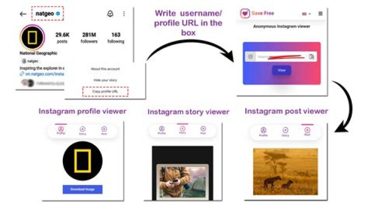 Instagram Post Viewer Comments: Understanding Engagement And Insights