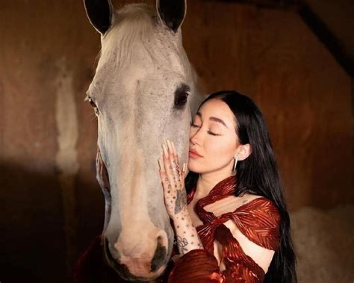 Is Noah Cyrus Trans? Gender And Sexuality Explored