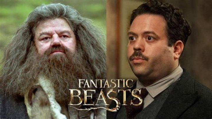 Jacob Kowalski actor explains how Hagrid could be in Fantastic Beasts 3
