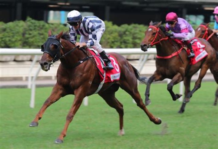 Jamie Richards chases drought-breaking win with Seasons Wit in Class Two sprint at Happy Valley | HK Racing